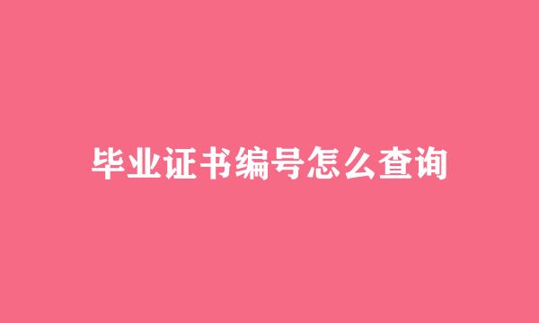 毕业证书编号怎么查询