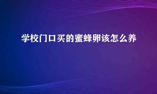 学校门口买的蜜蜂卵该怎么养