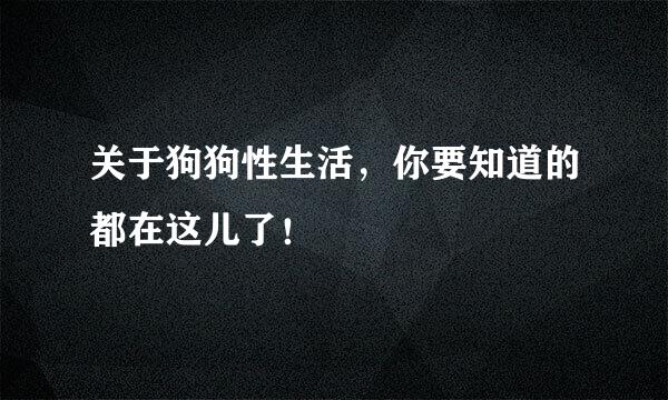 关于狗狗性生活，你要知道的都在这儿了！