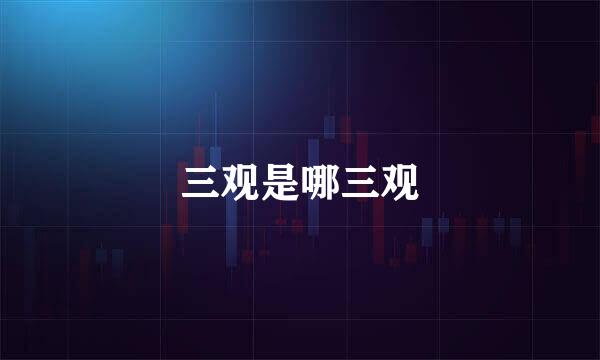 三观是哪三观