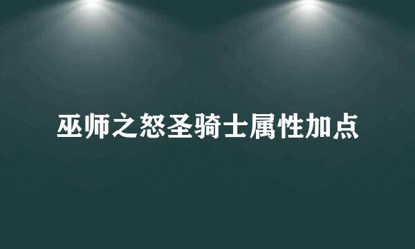 巫师之怒圣骑士属性加点