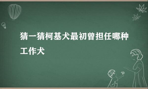 猜一猜柯基犬最初曾担任哪种工作犬