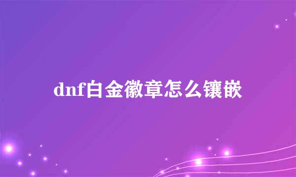 dnf白金徽章怎么镶嵌