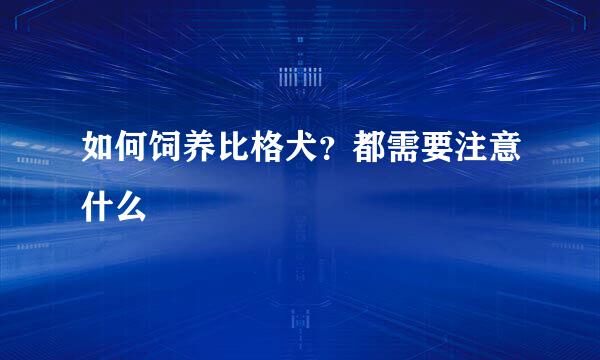 如何饲养比格犬？都需要注意什么