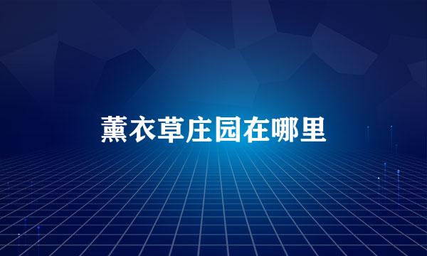 薰衣草庄园在哪里