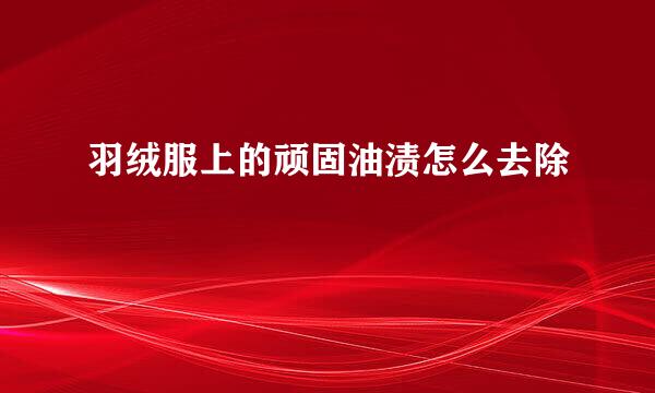 羽绒服上的顽固油渍怎么去除