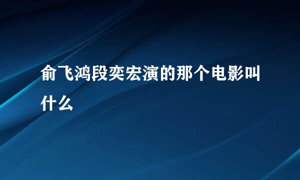 俞飞鸿段奕宏演的那个电影叫什么