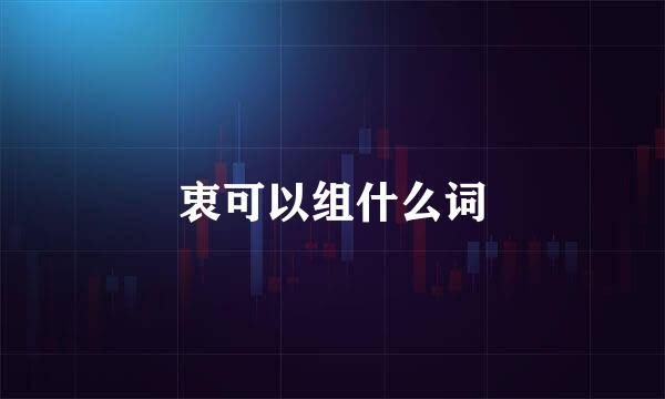 衷可以组什么词