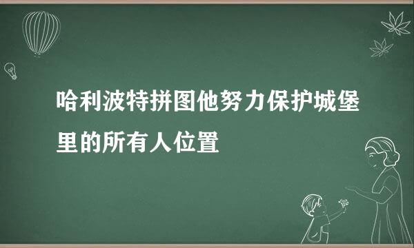 哈利波特拼图他努力保护城堡里的所有人位置