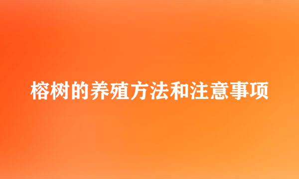 榕树的养殖方法和注意事项