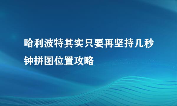 哈利波特其实只要再坚持几秒钟拼图位置攻略