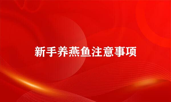 新手养燕鱼注意事项