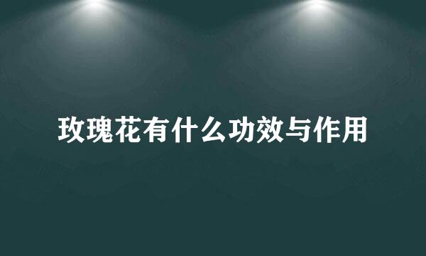 玫瑰花有什么功效与作用