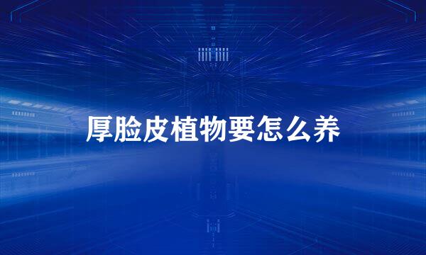 厚脸皮植物要怎么养