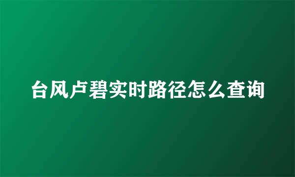 台风卢碧实时路径怎么查询