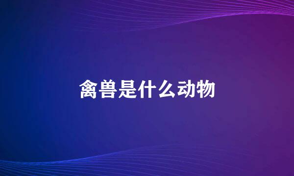 禽兽是什么动物