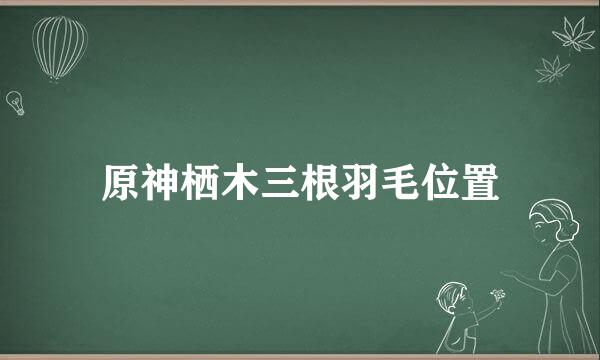 原神栖木三根羽毛位置