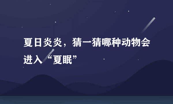 夏日炎炎，猜一猜哪种动物会进入“夏眠”
