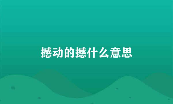 撼动的撼什么意思