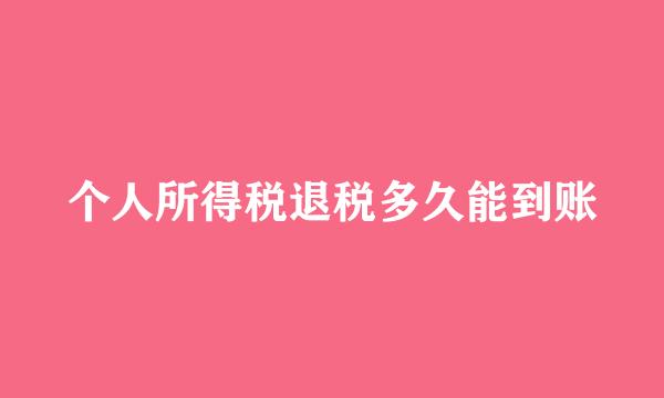 个人所得税退税多久能到账