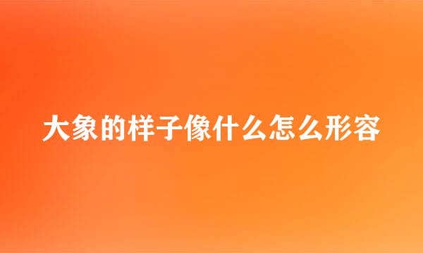 大象的样子像什么怎么形容