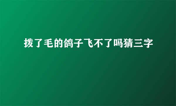 拨了毛的鸽子飞不了吗猜三字