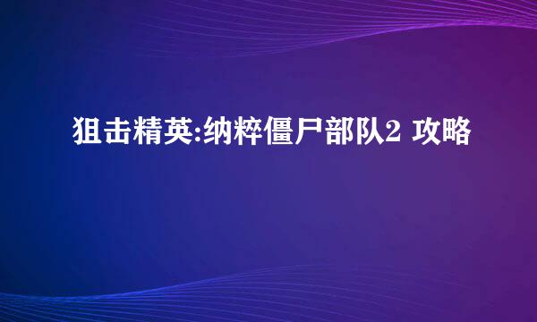 狙击精英:纳粹僵尸部队2 攻略