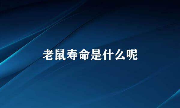 老鼠寿命是什么呢