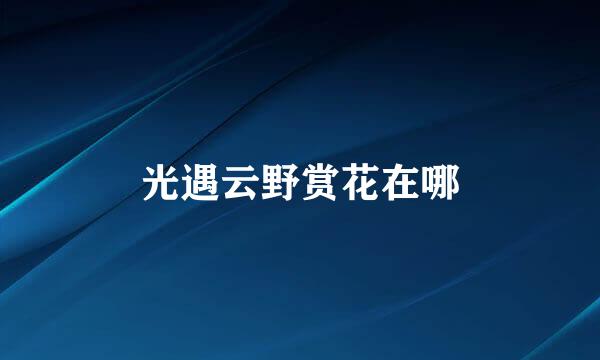 光遇云野赏花在哪