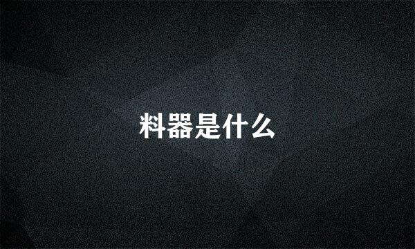 料器是什么
