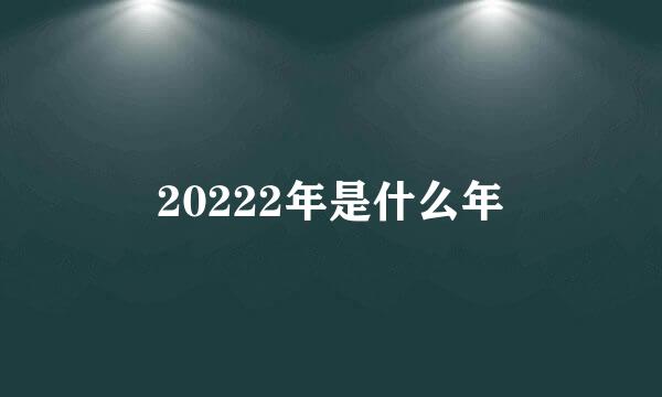 20222年是什么年