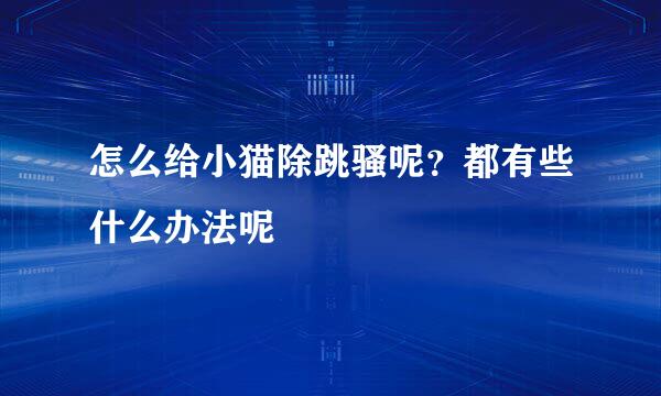 怎么给小猫除跳骚呢？都有些什么办法呢