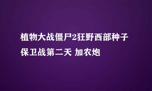 植物大战僵尸2狂野西部种子保卫战第二天 加农炮
