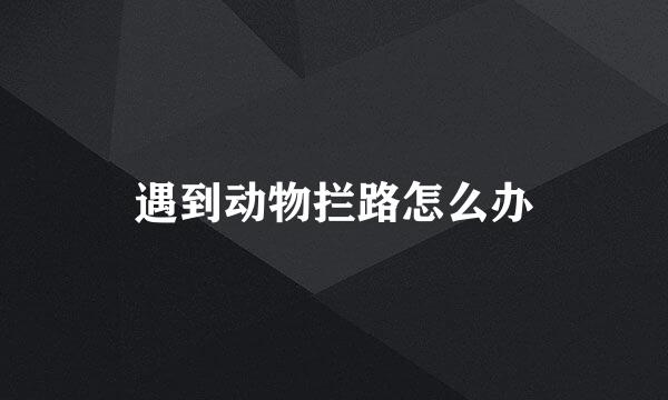 遇到动物拦路怎么办