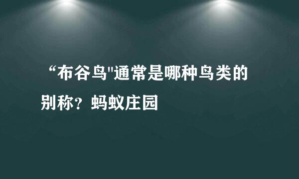 “布谷鸟