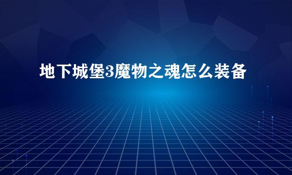 地下城堡3魔物之魂怎么装备