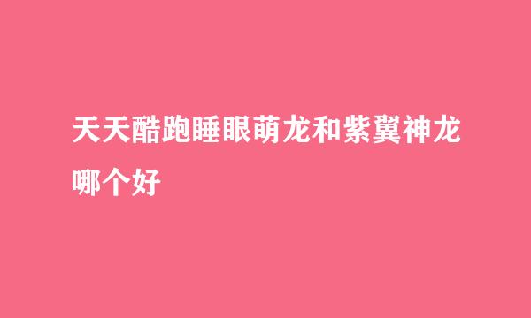 天天酷跑睡眼萌龙和紫翼神龙哪个好
