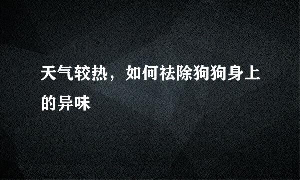 天气较热，如何祛除狗狗身上的异味