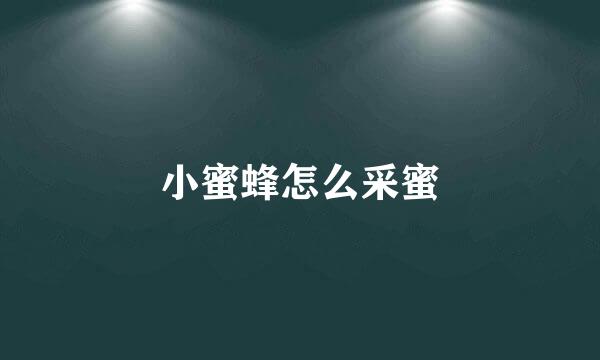 小蜜蜂怎么采蜜