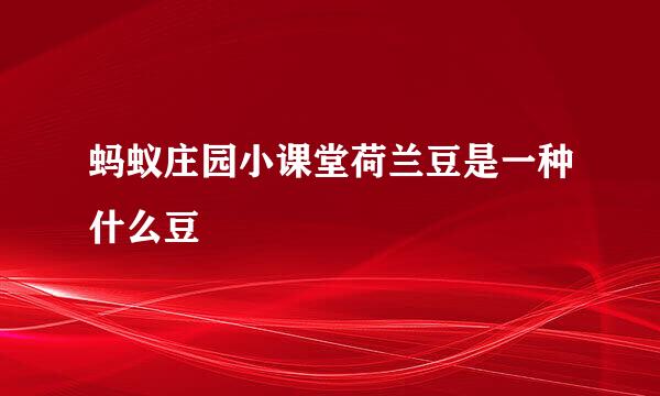 蚂蚁庄园小课堂荷兰豆是一种什么豆