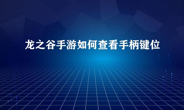 龙之谷手游如何查看手柄键位
