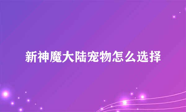 新神魔大陆宠物怎么选择