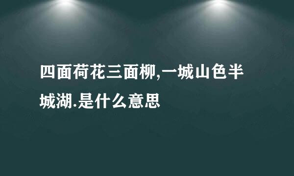 四面荷花三面柳,一城山色半城湖.是什么意思