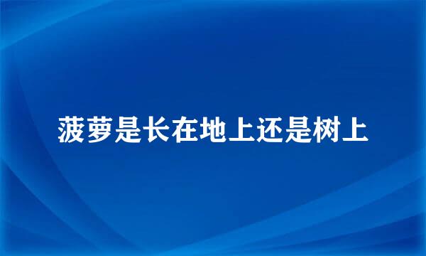 菠萝是长在地上还是树上
