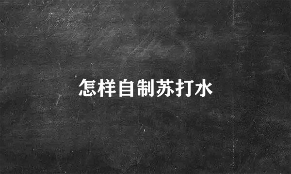 怎样自制苏打水