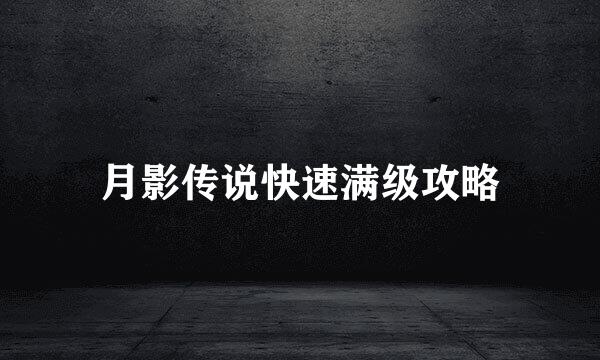 月影传说快速满级攻略
