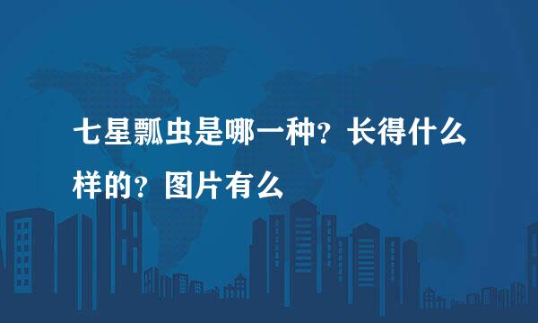 七星瓢虫是哪一种？长得什么样的？图片有么