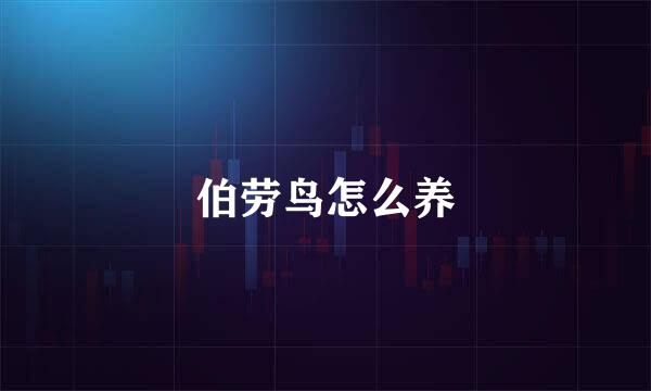 伯劳鸟怎么养