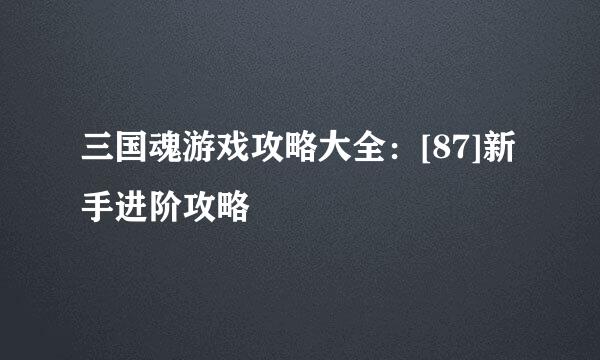 三国魂游戏攻略大全：[87]新手进阶攻略