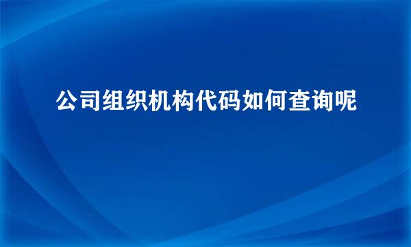公司组织机构代码如何查询呢